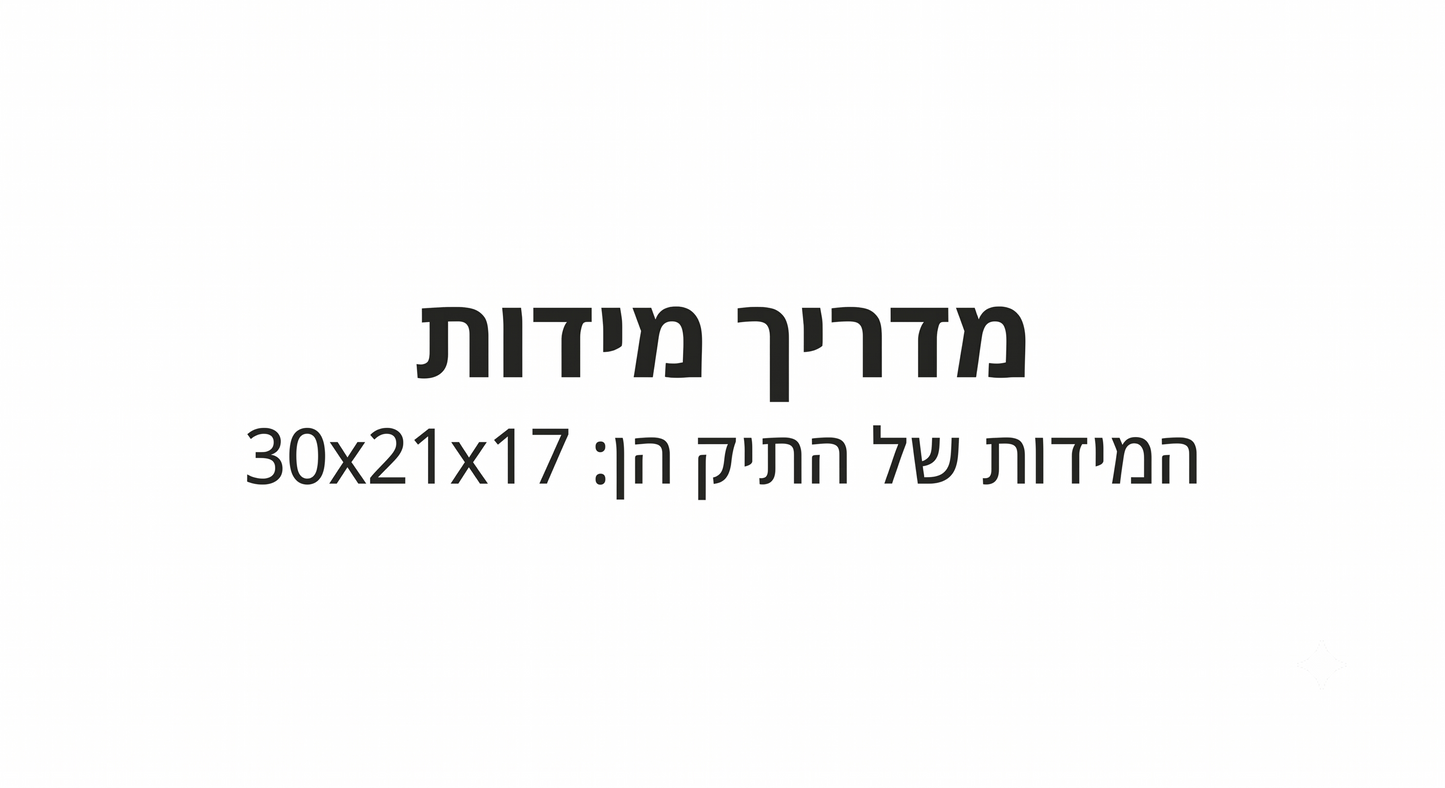 speedy 30 תיק צד לואי