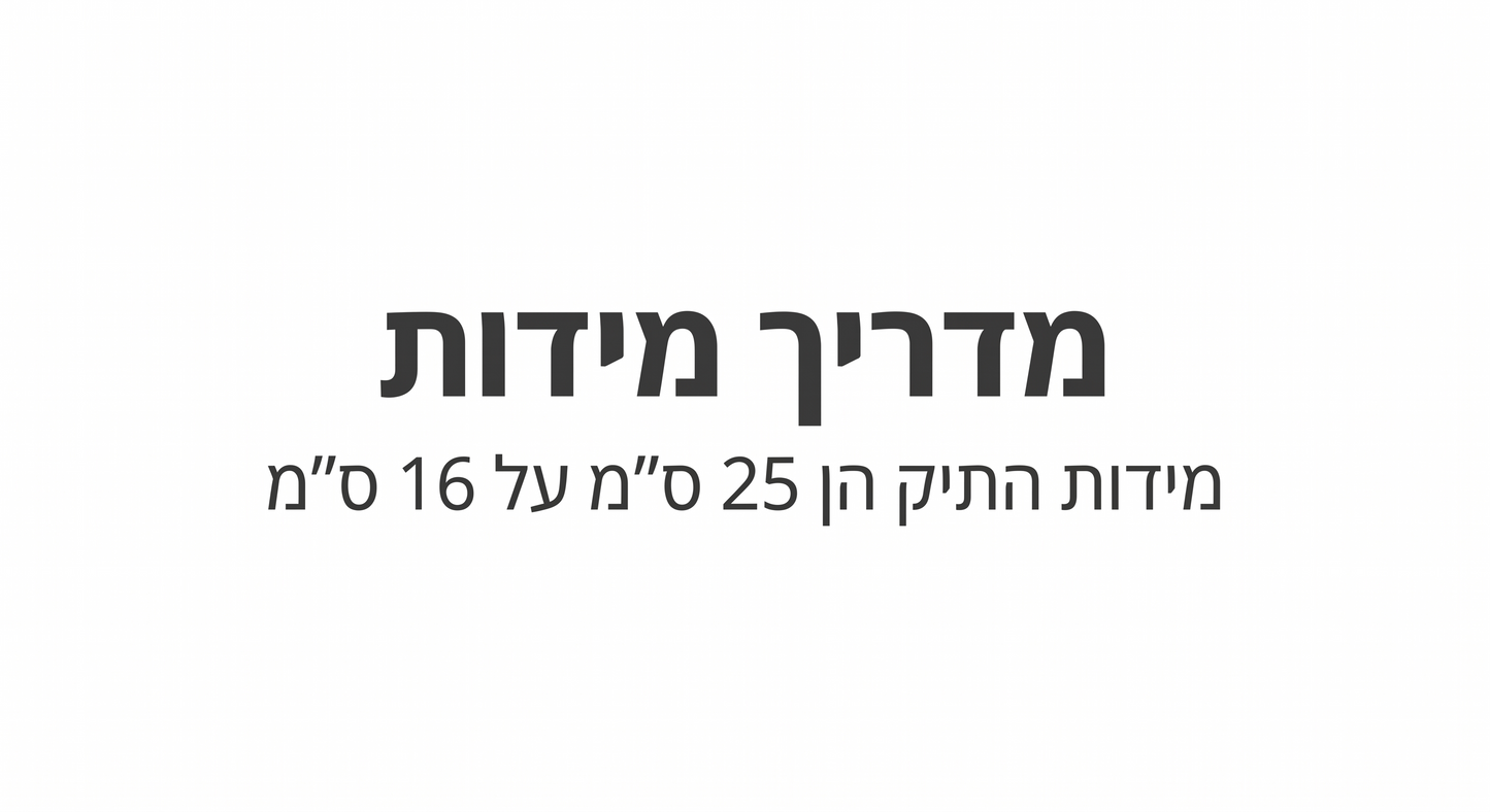 תיק צד שאנל קלאסי